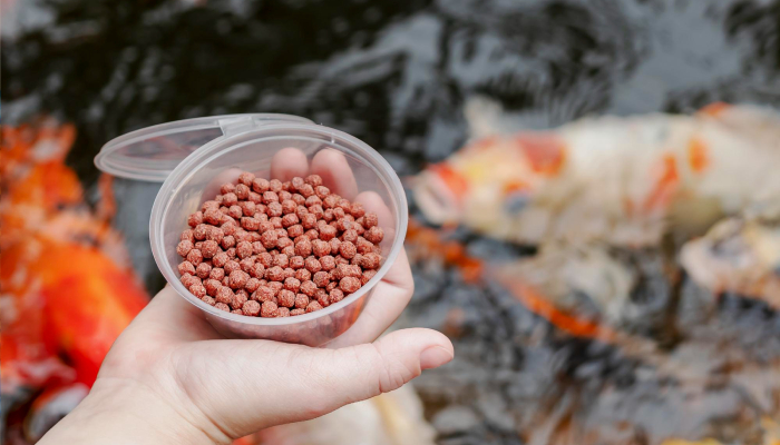 Nourriture pour animaux